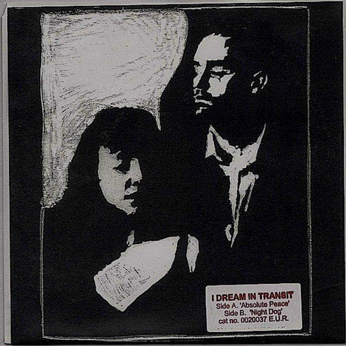 ABSOLUTE PEACE | I DREAM IN TRANSIT