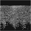 milkweedfolk.bandcamp.com