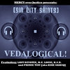 Vedalogical! [2009] Cover Art