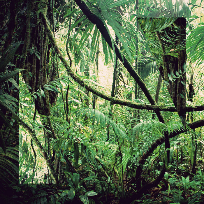 Lacuna on Bandcamp