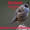 Albert Hammond - It Never Rains in Southern California (E. «Michelangelo» Persueder Edit Bootleg Regroove)