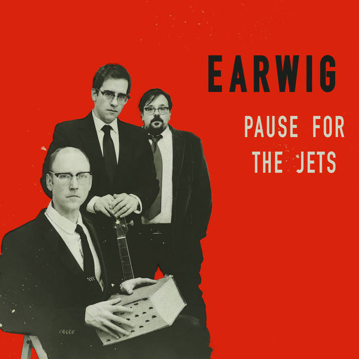 Earwig