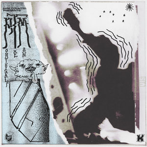 V.I.S. cover