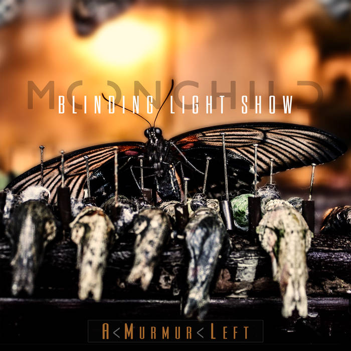 Blinding Light Show A Murmur Left