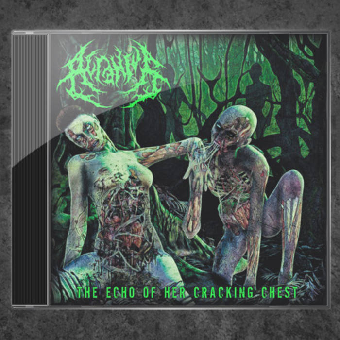 スラムデス 廃盤 Acranius – The Echo〜 デスメタルCD スラムデス 廃盤 Acranius – The Echo〜 デスメタルCD