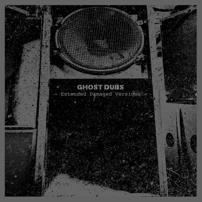 LP盤 Bush of Ghosts 初アナログ化 Rewind Dubs Extended Damaged Versions | Ghost Dubs