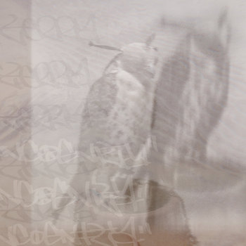 Ghost Notes - Album by The Ravens - Apple Music