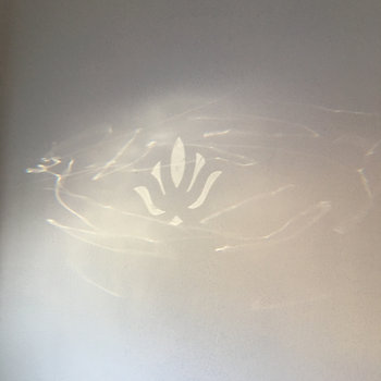 Lamp Shade
Kallie Lampel