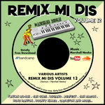 FREE DOWNLOAD - Various Artists - Remix Mi Dis Volume 12 (2021)