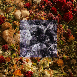 Dark Narrows — Dead Flowers