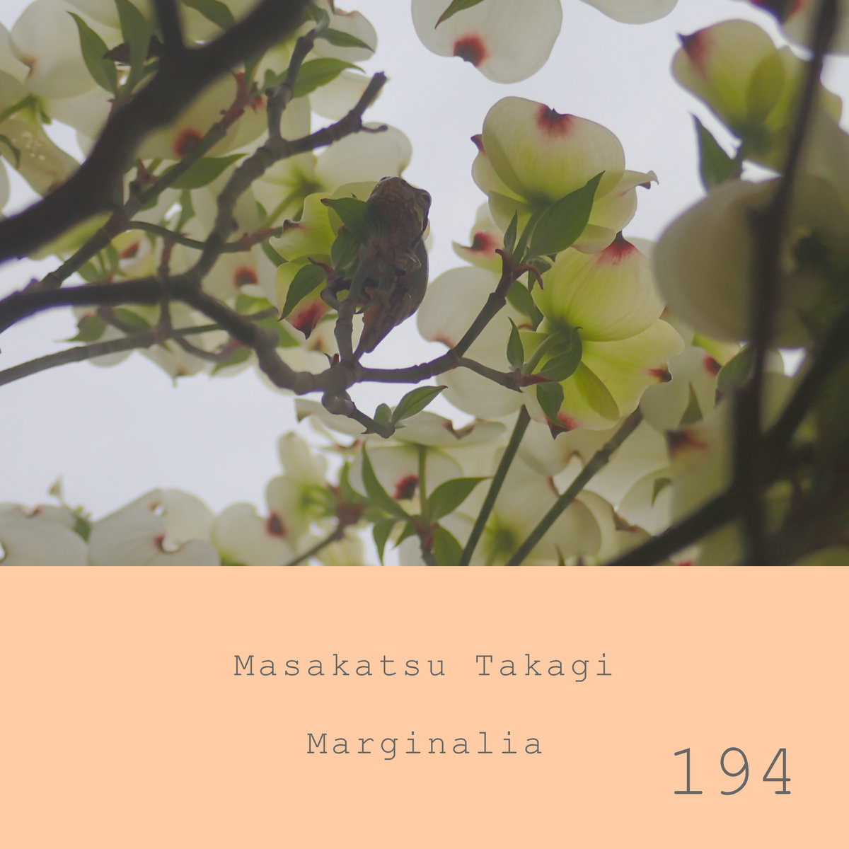 Marginalia #194 | Masakatsu Takagi