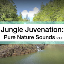 Jungle Juvenation: Pure Nature Sounds Vol 2 cover art