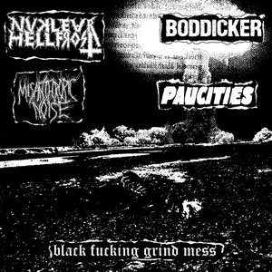 4 Way Split LP w/ Misanthropic Noise, Paucities, & Boddicker cover