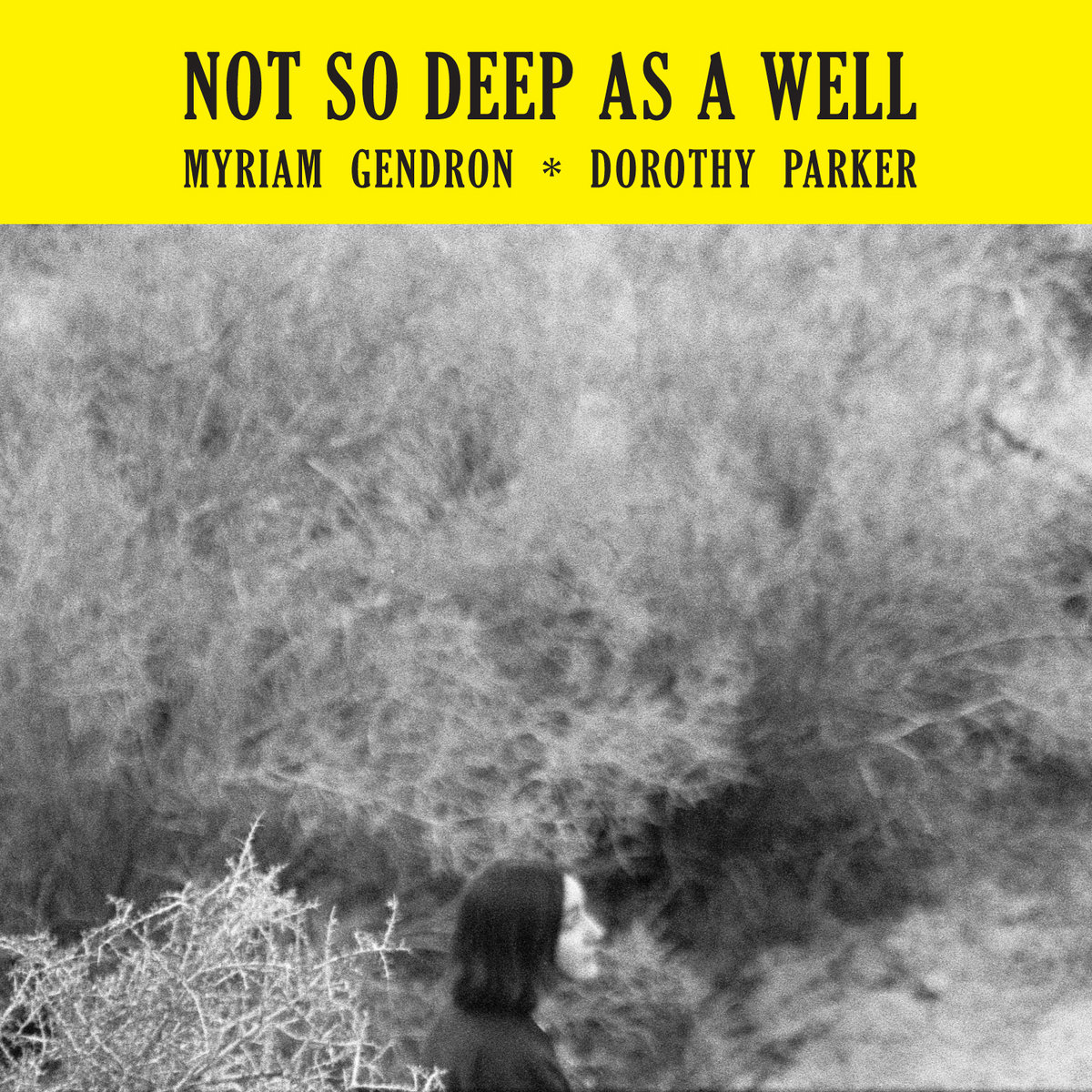 not so deep as a well mama bird recording co