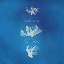 Soft Biota cover art