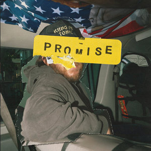 PROMISEThe High Curbs & The Red Pears cover