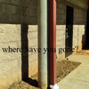 where have you gone?