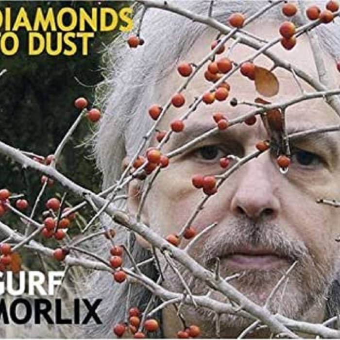 Diamonds to Dust | Gurf Morlix