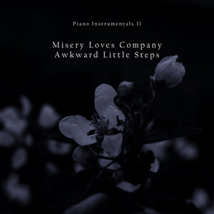 Piano Instrumentals II : Misery Loves Company cover