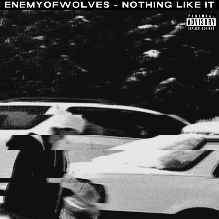 Nothing Like It enemyofwolves