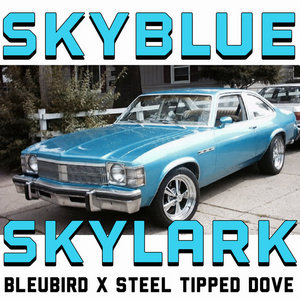 Skyblue Skylark cover