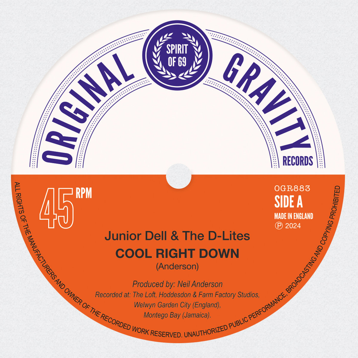 THE SKULL DISK DAMNGOOD!! × NATURE TONES GRATEFUL DEAD Grateful Dead Skull & Roses 50th Anniversary