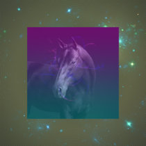 Megan The Horse cover art