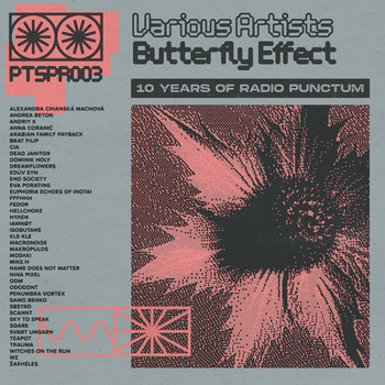 PTSPR003 | Butterfly Effect (10 Years Of Radio Punctum) | Various