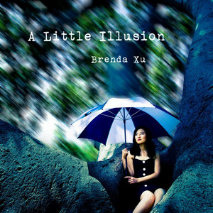 A Little Illusion (2009) cover