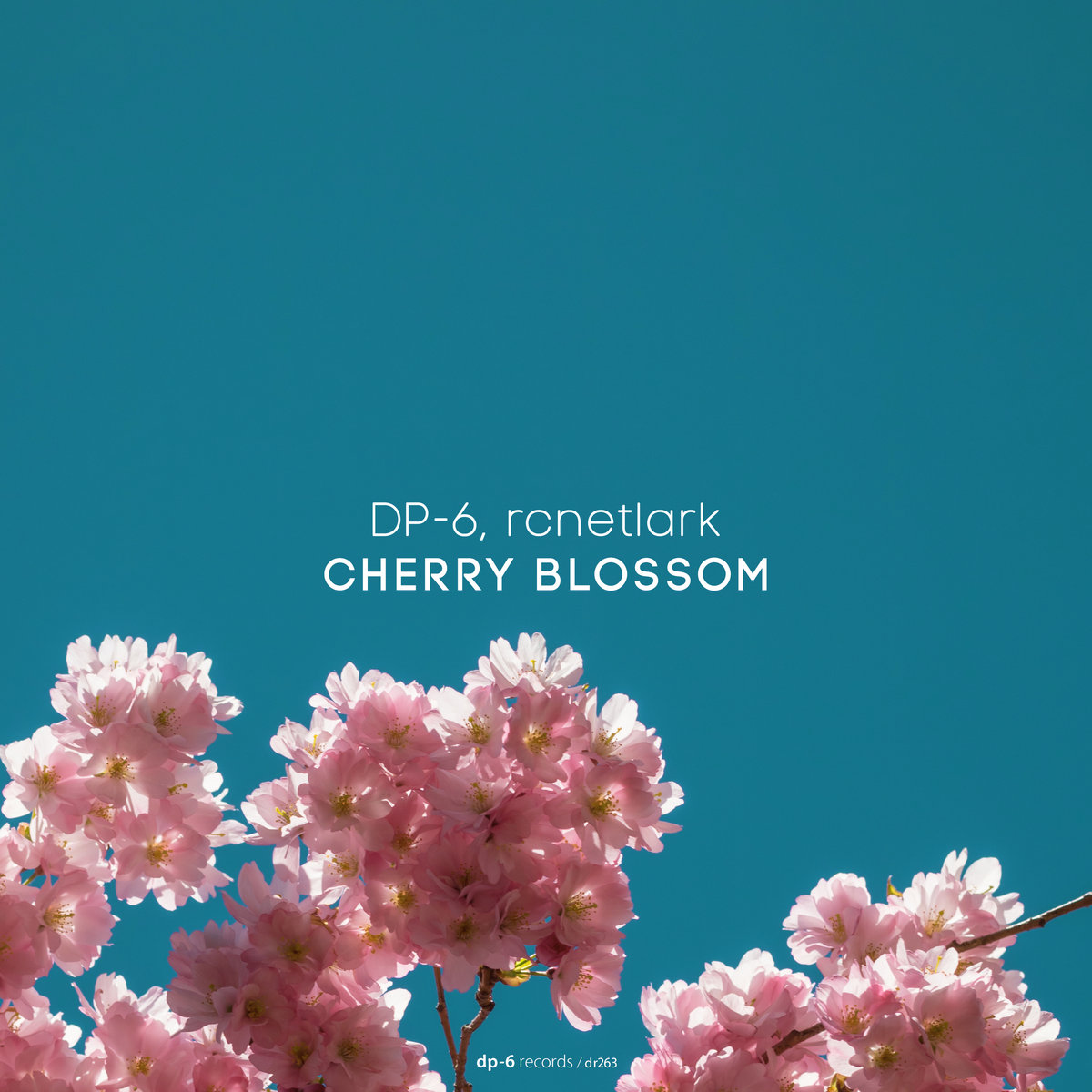 邦楽 WORD IN THE PETALS CHERRYBOY FUNCTION CD PETALS CD THE IN FUNCTION WORD 邦楽 CHERRYBOY