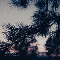 Akmuo - Atsiskyrimas cover art