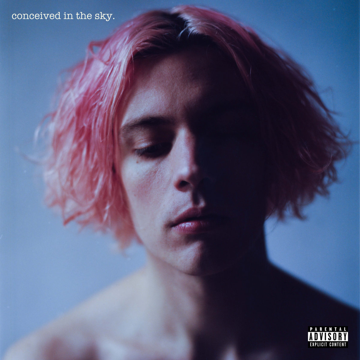 Vant Conceived In The Sky Dumb Blood Records