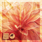 (Exclusively On Bandcamp) Bakean, Tebra - Outra Vez
