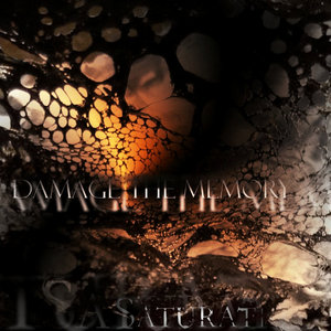 Damage The Memory (2013) cover