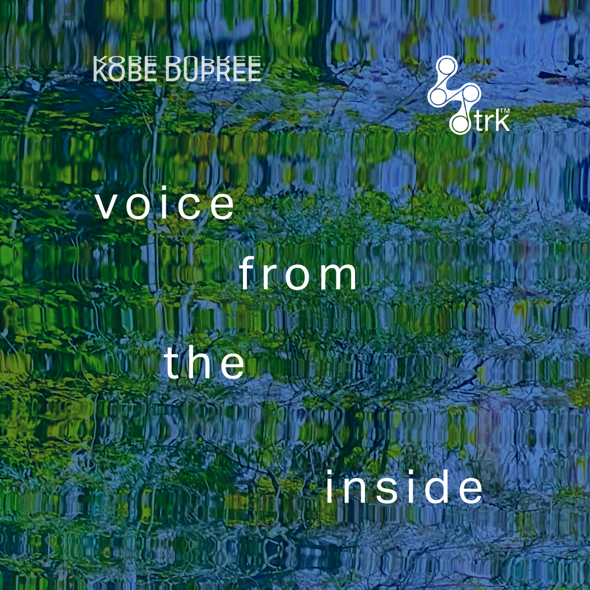 voice from the inside