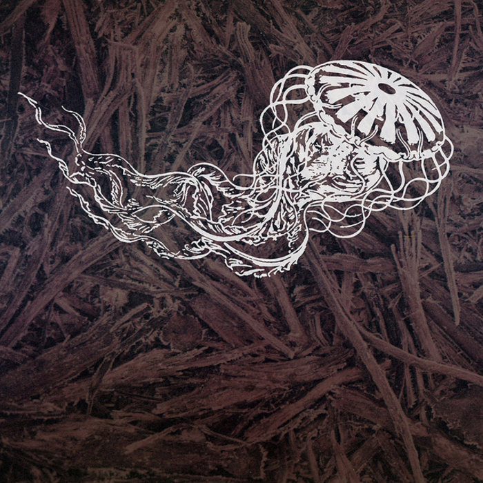 Singularity The Picturesque Episodes Hidden Vibes