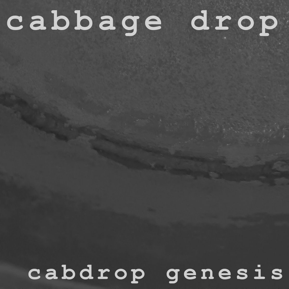 cabdrop genesis | cabbage drop