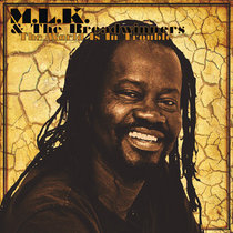 Calling 1000 Dreadlocks | Various Artists | Hornin' Sounds