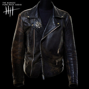 Punk Rock Addio cover