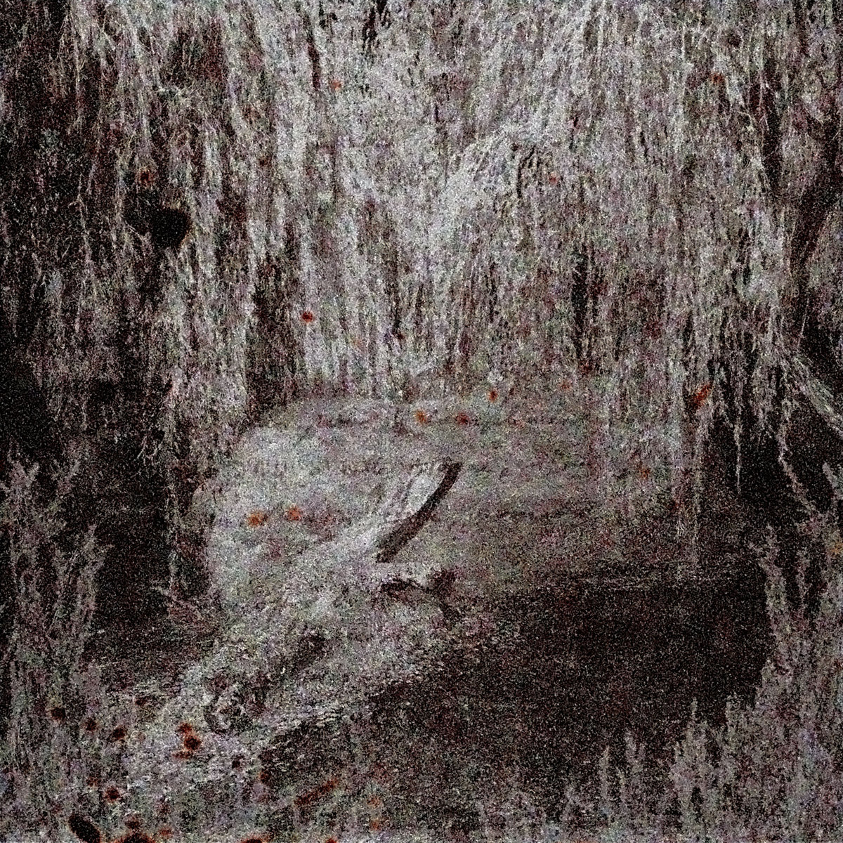 Jackal | Jackal | 51st State Records