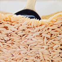 Live at Casa del Popolo, Montreal December 2014 cover art