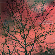 Mentally Shattered cover art