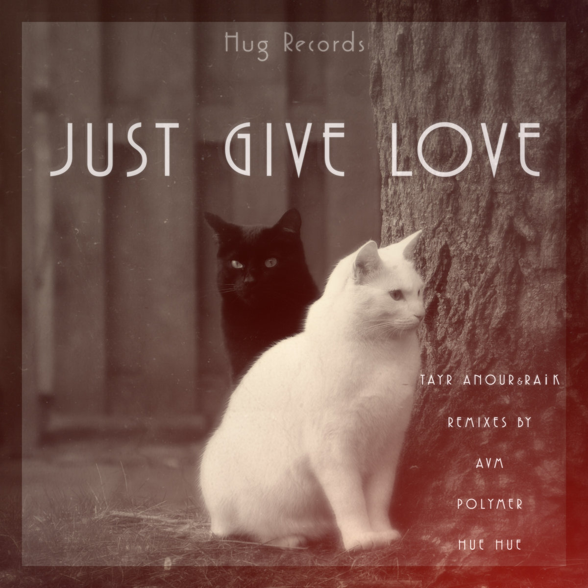 Tayr Anour & RAiK - Just give Love ( Polymer Remix)