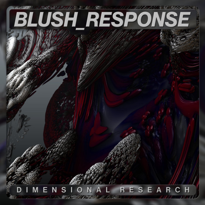 Dimensional Research BLUSH RESPONSE