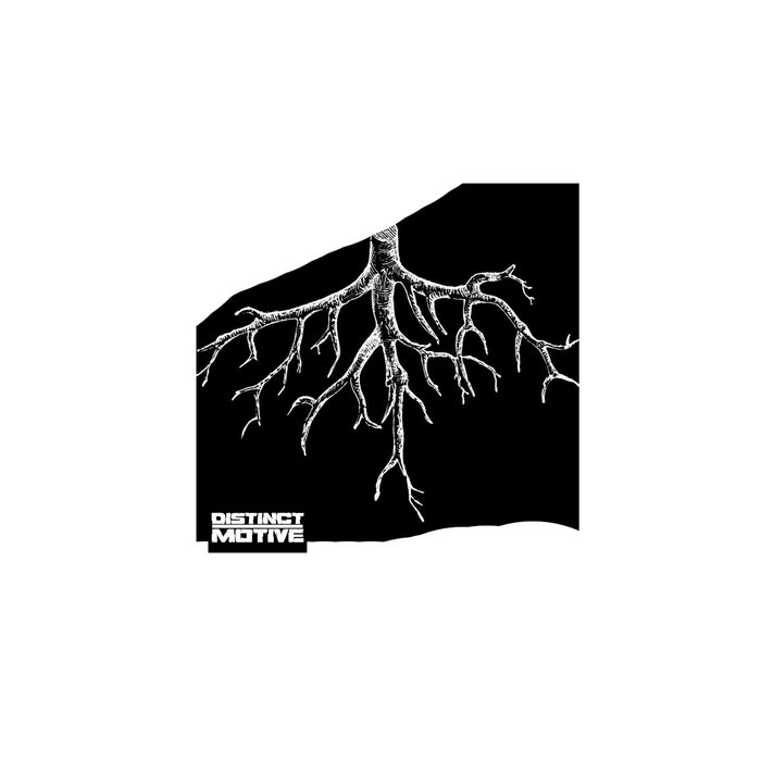 Rooted Distinct Motive