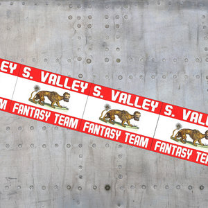 Fantasy Team cover