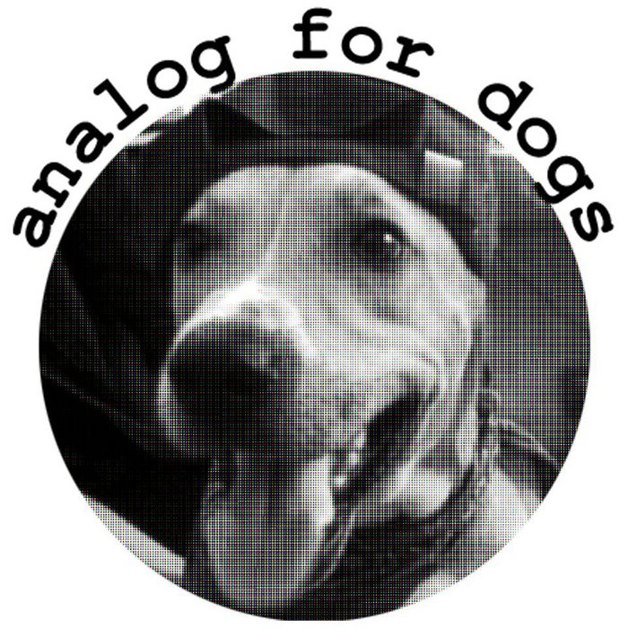 songs about dead dogs