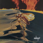 SUBSIST.238D  - Charbon