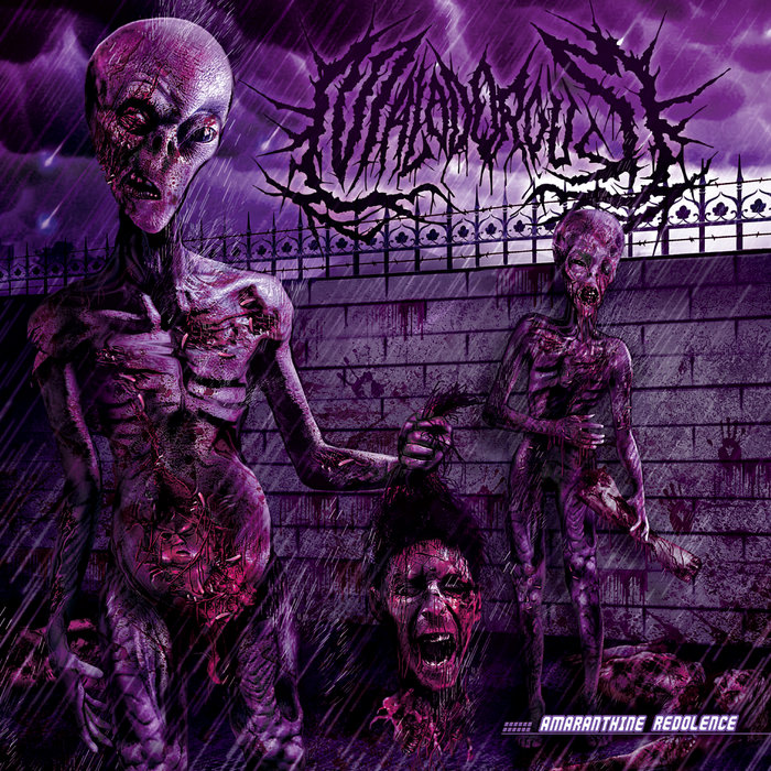 Amaranthine Redolence Album Art