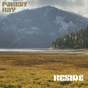 Reside cover